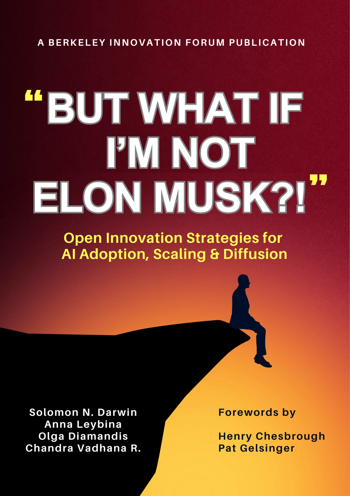 Cover of But What If I'm Not Elon Musk?!